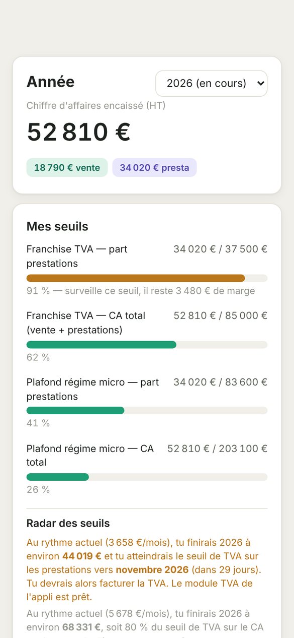 Écran Année : chiffre d'affaires encaissé et jauges des seuils de TVA et du régime micro.